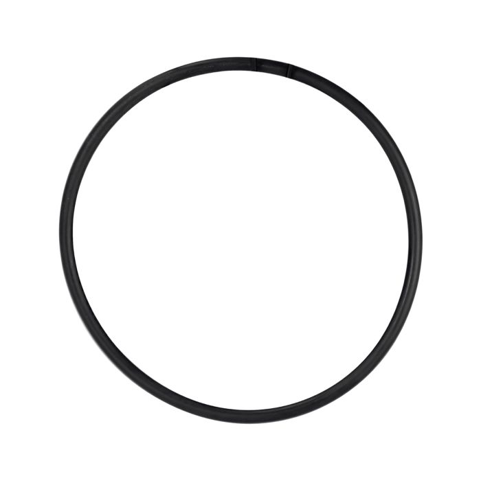 O-Ring de Alta Presión para Housing UV-30 EVANS (O-RING-UV30)